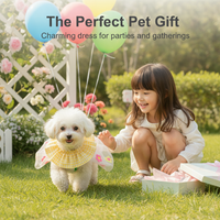 Summer Backless Embroidered Pet Dress for Dogs and Cats