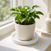 flower pot saucer