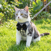 Cat Harness and Leash Set, Textile Vest Small Dog Harness for Outdoor Walking, Adjustable Kitten Harness for Trips, Bow Tie Accent and Plaid