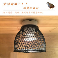 芦丁鸡抽屉式饲养殖箱保温育雏箱全套造景四季恒温箱幼鸡育雏鸡窝