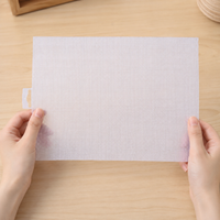 Plastic Canvas Mesh Sheets for DIY Embroidery, Beading, and Cross Stitch Projects