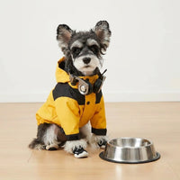 Warm Dog Jacket and Cat Jacket with Zipper, Polyester Outdoor Dog Coat and Cat Coat, Full Underbelly Coverage Casual 142