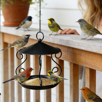 Wrought avian Feeder Weatherproof Hanging birds Feeder Weather Resistant Hanging Tray for Nature Lovers, Balcony, Patio, Backyard