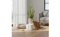 No Wet Mouth Pet Water Fountain Quiet Automatic Pet Fountain Easy to Clean for Cats, Dogs, Indoor