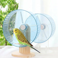 Parrot Activity Wheel and Bird Exercise Wheel with Flat Perch, Parrot Play Accessory for Budgie and Cockatiel Enrichment