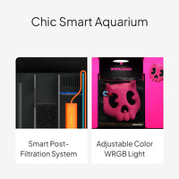 Betta Fish Bowl with Smart Lighting and Filtration