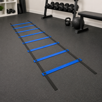 Agility Hurdles Set, 6m coordination ladder with 5 hurdles and 4 ground pegs, training set for football speed training