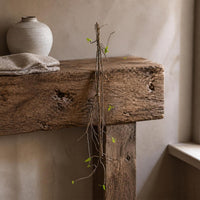 Artificial Mossy Vine Branches for Indoor Decoration and Creative Landscaping