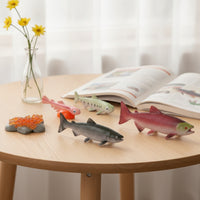 5 Pieces Early Learning Life Cycle Figures with Display Card Educational Animal Growth Cycle Models Interactive Animal Figures Hands-on for Homeschooling