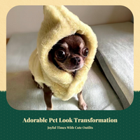 Dog Sweatshirt, Chihuahua Hoodie, Warm Winter Outfit