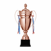Lidded Award Trophy Decorative Metal Trophy with Handles Elegant for Students