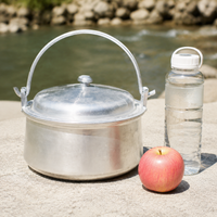 Commercial Stock Pot, Aluminum Alloy, Double-Handled Pot, 4-5L, With Lid, Matte Silver, Suitable for 10+ People