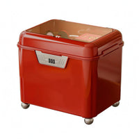 Clear Tinted Lid Jewelry Lock Box Rectangular Combination Lock Box Rounded Corners Lockbox Small Feet
