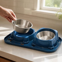 Double Cat Bowl Set with Stainless Steel Food and Water Bowls, Spill-Proof, Tilted Design for Pets