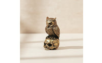 Gold-Toned Owl on Skull Figurine Metal-Finish Owl on Skull Statue Gothic Sculpture Textured for Collectors, Goths, Desk, Bookshelf, Halloween