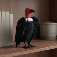 Figurine Educational Toy Realistic Bird Model Plumage Bird Statue for Halloween