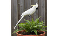 Simulation Macaw Statue Bird Sculpture Decoration Realistic Bird Sculpture Ornament for Outdoor, Balcony, Patio