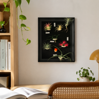 Hanging Plant Frame, Black Tillandsia Holder, Square MDF Plant Frame, Retro Wall Decor for Office & Bedroom