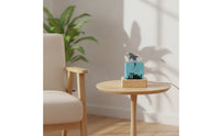 Aquatic Ocean Resin Lamp Ambient Night Light with Wood Base Transparent Lamp with Wood Base Decorative for Study