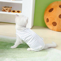 Cat Recovery Suit with Fasteners, Warm Post-Surgery Cat Suit for Normal-Sized Pets, Anti-Licking Recovery Suit with Tail Opening and Weaning Use