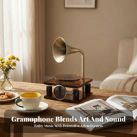 Square Foundation Decoration Tabletop Gramophones Metal Speaker
