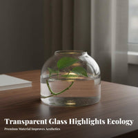 Desktop Self-Sustaining Environment Bottle Multipurpose Micro Landscape Bottle Compact Size Terrarium for Hobbyists, Students, Tabletop, Living Room