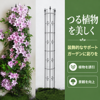 Metal Plant Trellis 65cm, Iron Fence, for Clematis, Climbing Roses, Home Gardening, Outdoor Installation, Easy Assembly