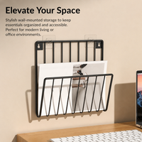 Metal Wall Hanging Basket, 2 Pack Kitchen Storage Rack, Automatic Vertical Organiser for Small Flats, Space Saving Wire Wall Shelf