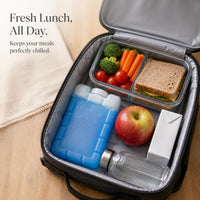 Reusable Ice Packs for Coolers, Food Preservation, and Temperature Control