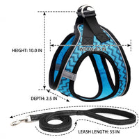 Cat Vest Harness with Soft Mesh, Cat Walking Harness for Small Breeds, reliable cat Leash Attachment for Outdoor Walking Gear