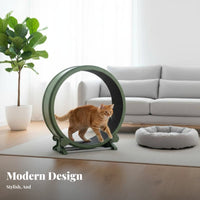feline jogning Wheel Formaldehyde feline Exercise Wheel noiseless Operation Feline Treadmill for Indoors, Apartment Living, Home