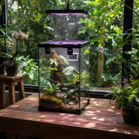 Warm-Climate Vivarium Ventilated Amphibious Amphibian Habitat Amphibious Pet Enclosure Feeding Hole Gecko Turtle Enclosure Easy