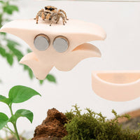 3 Pieces Strong Arachnid Bowl Decorative Arachnid Hide Cozy Toadstool Ledge with Adhesive Discs Discreet