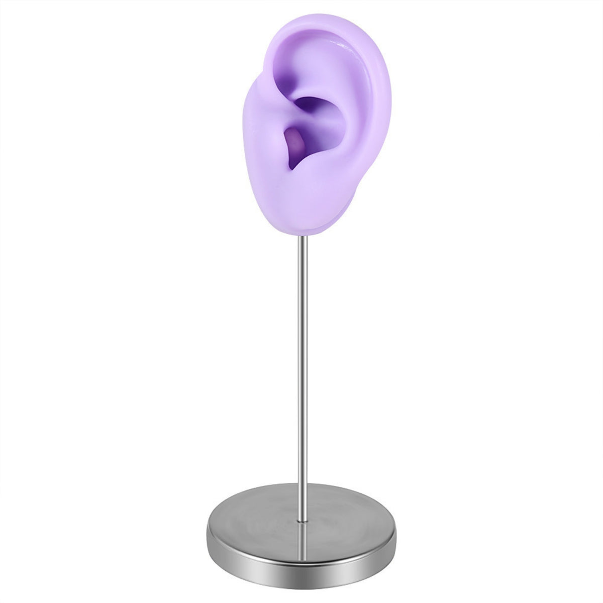 Washable Ear Display Model with Stand Stable Ear Model with Stand Reusable Lightweight for Jewelers