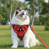 Cat Harness and Leash Set, Polyester Vest Style Adjustable Walking Harness for Outdoor Use, Secure Non-Retractable Cat Walking Leash Accessory