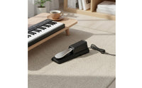Polarity Switch Sustain Pedal Non-Slip Design Electronic Piano Pedal Classic Design Musical Instrument Accessory for Pianists, Keyboardists, Music Producers, Home Practice, Studio, Stage Performance