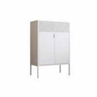 Large Capacity 2-Door Metal Locker sun resistant Low 2-Door Utility Locker Waterresistant Storage Cabinet Multipurpose for Homeowners, Office Workers, Balcony, Kid's Room, Bedroom, Basement