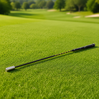 golf swing trainer
