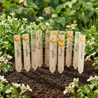 14 Pieces Garden Labels with Stakes Flat Garden Placards Plastic Plant Labels Decorative Markers Reusable for Gardeners