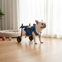 Easy to Walk Adjustable Dog Wheelchair Lightweight Dog Rehab Wheelchair Stable Frame Hind Leg Support Carriage Breathable Mesh Harness for Disabled Dogs, Rehabilitation, Mobility Assistance, Post Surgery