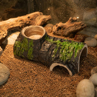 Hollow Log Hideout Natural-Looking Lichen Cave Hide Easy to Clean