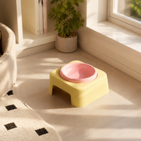 Elevated Pet Bowl, Ceramic Cat Food Bowl with Stand, 175ml Anti Vomit Shallow Dish for Felines & Small Dogs