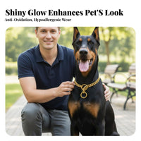 Golden Canine Chain Polished Finish Dog Chain Sturdy for Owners of Medium to Large Dogs, Outdoor Walking, Daily Use