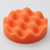polishing pads kit