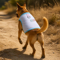 Pet Cooling Vest for Small Dogs - Summer Thin Breathable Sun Protection Shirt for Teddy, Schnauzer