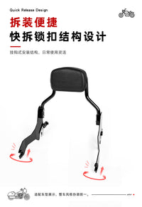 GUANTENGYU Quick-Release Passenger Backrest for Harley Road King ST Sport Glide and Electra Glide (After 2018)