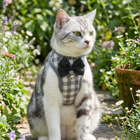 Cat Harness and Dog Leash Set with Matching Cat Leash and Dog Harness, Adjustable Pet Harness for Outdoor Walking, Vest Style for Small Dog Pets