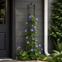 Metal Plant Trellis 65cm, Iron Fence, for Clematis, Climbing Roses, Home Gardening, Outdoor Installation, Easy Assembly