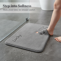 Absorbent Non-Slip Bathroom Mat for Toilet and Shower Area