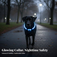 LED Dog Glow in The Dark Light up Dog Cuttable to Size Glowing Pet Necklace for Cat Owners, Night Walks, Outdoors, Outdoor